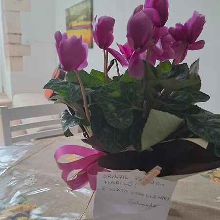 Apartamento A Levante *