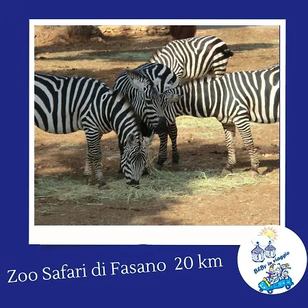 A Levante Lejlighed *