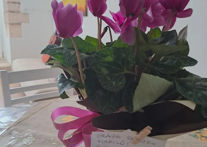 Apartment A Levante *